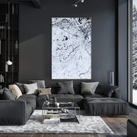 Winter Landscape From Above Poster