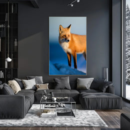 Majestic Fox In The Wild Poster
