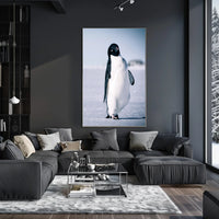 Curious Penguin Portrait Poster