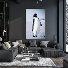 Curious Penguin Portrait Poster