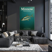 Minnow Phoxinus phoxinus Poster PosterGoat