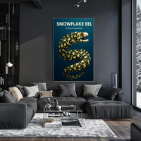 Snowflake Eel Echidna nebulosa Poster