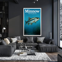 Minnow - Phoxinus phoxinus Poster PosterGoat