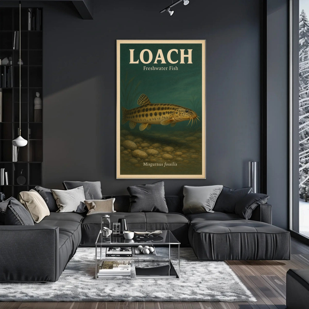 Loach Freshwater Fish Poster
