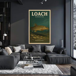 Loach Freshwater Fish Poster