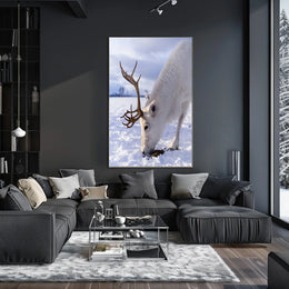 Majestic Reindeer In Snow Poster