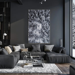 Winter Aerial Snowy Forest Scene National Park Poster