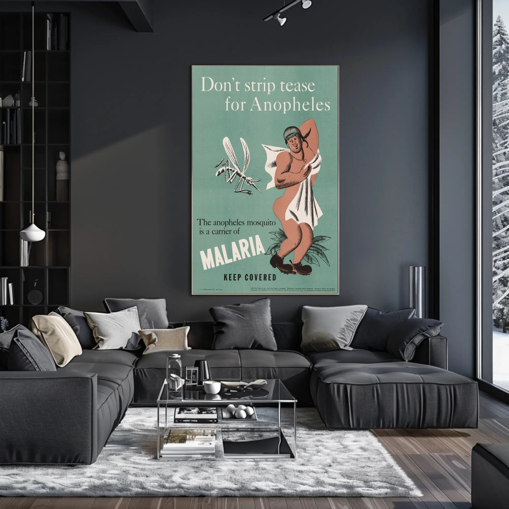 Malaria Prevention Humor: Vintage Educational Poster PosterGoat