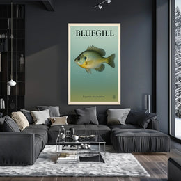 Bluegill Fish Illustration Poster